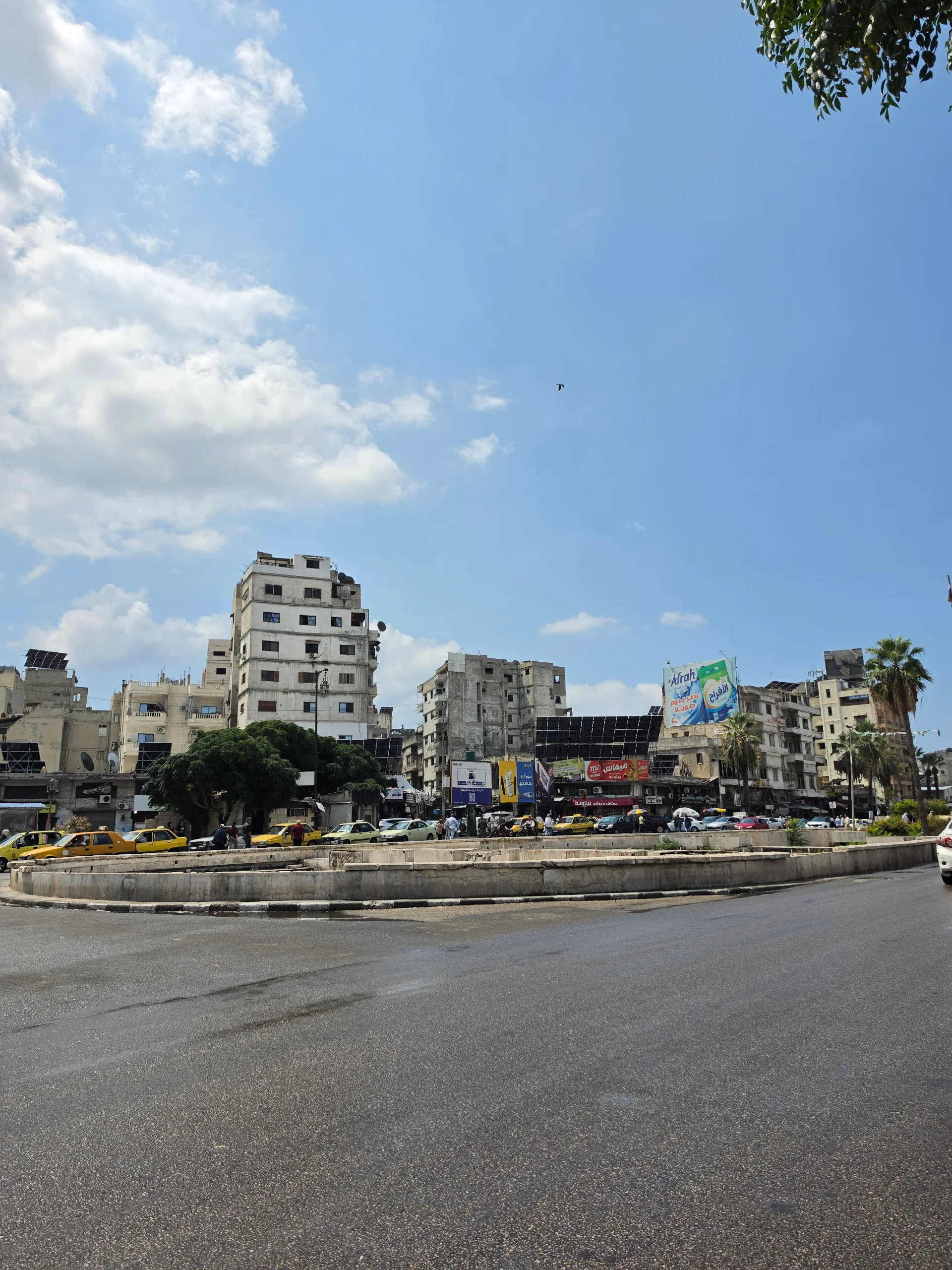 الشيخضاهر قرب كازية الصهيوني