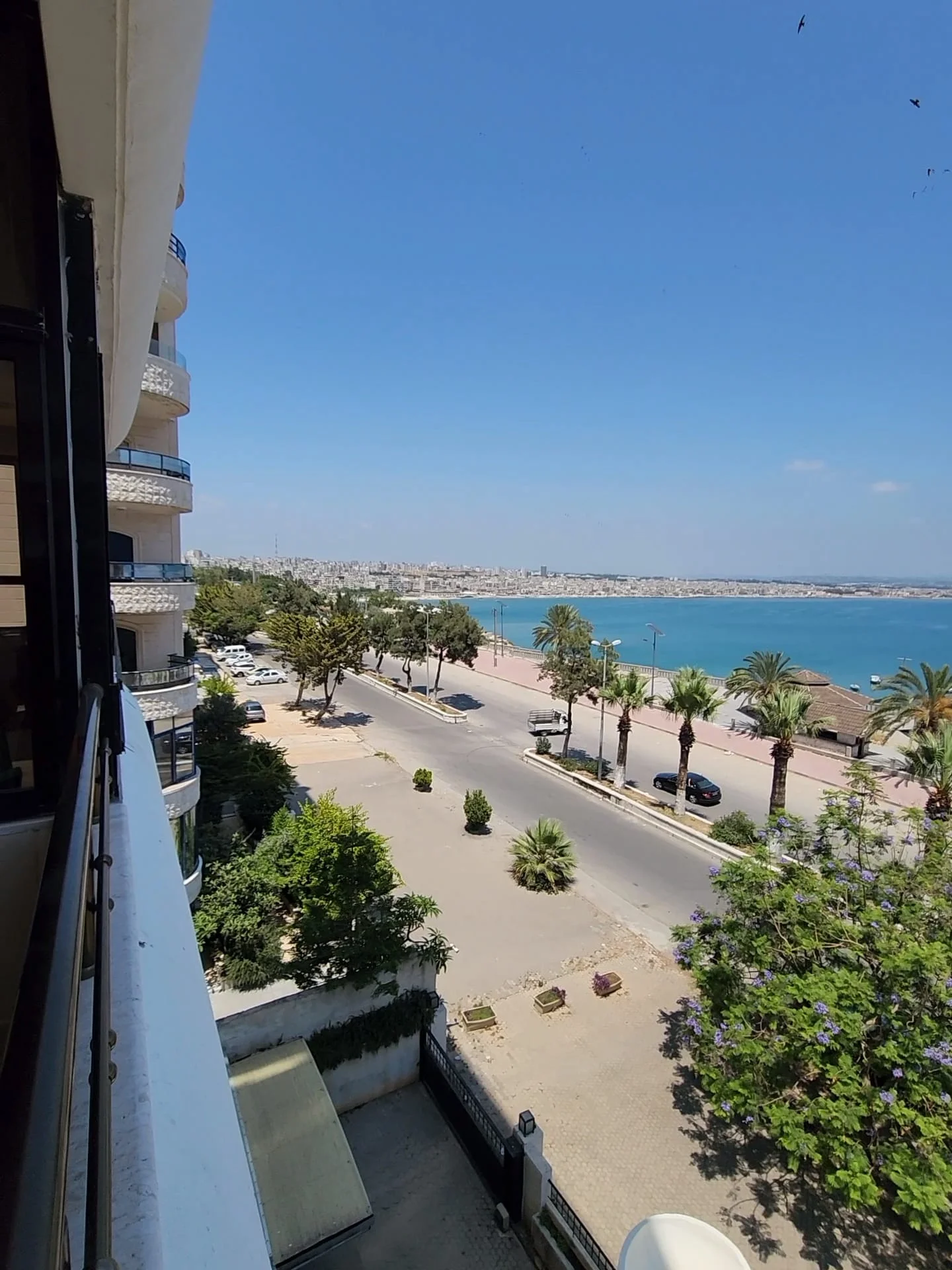 شارع الاميركان 