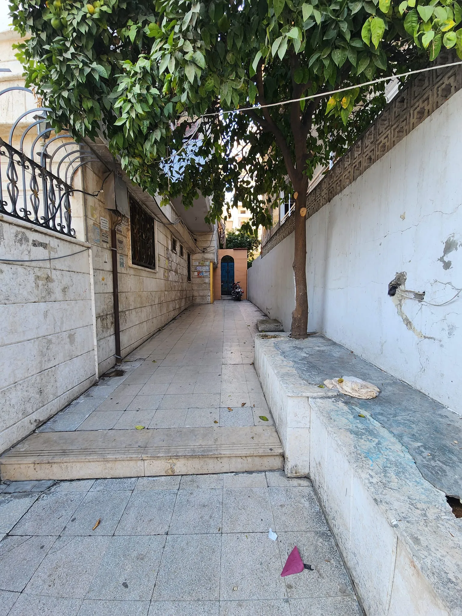اللاذقية  / طريق الحرش 