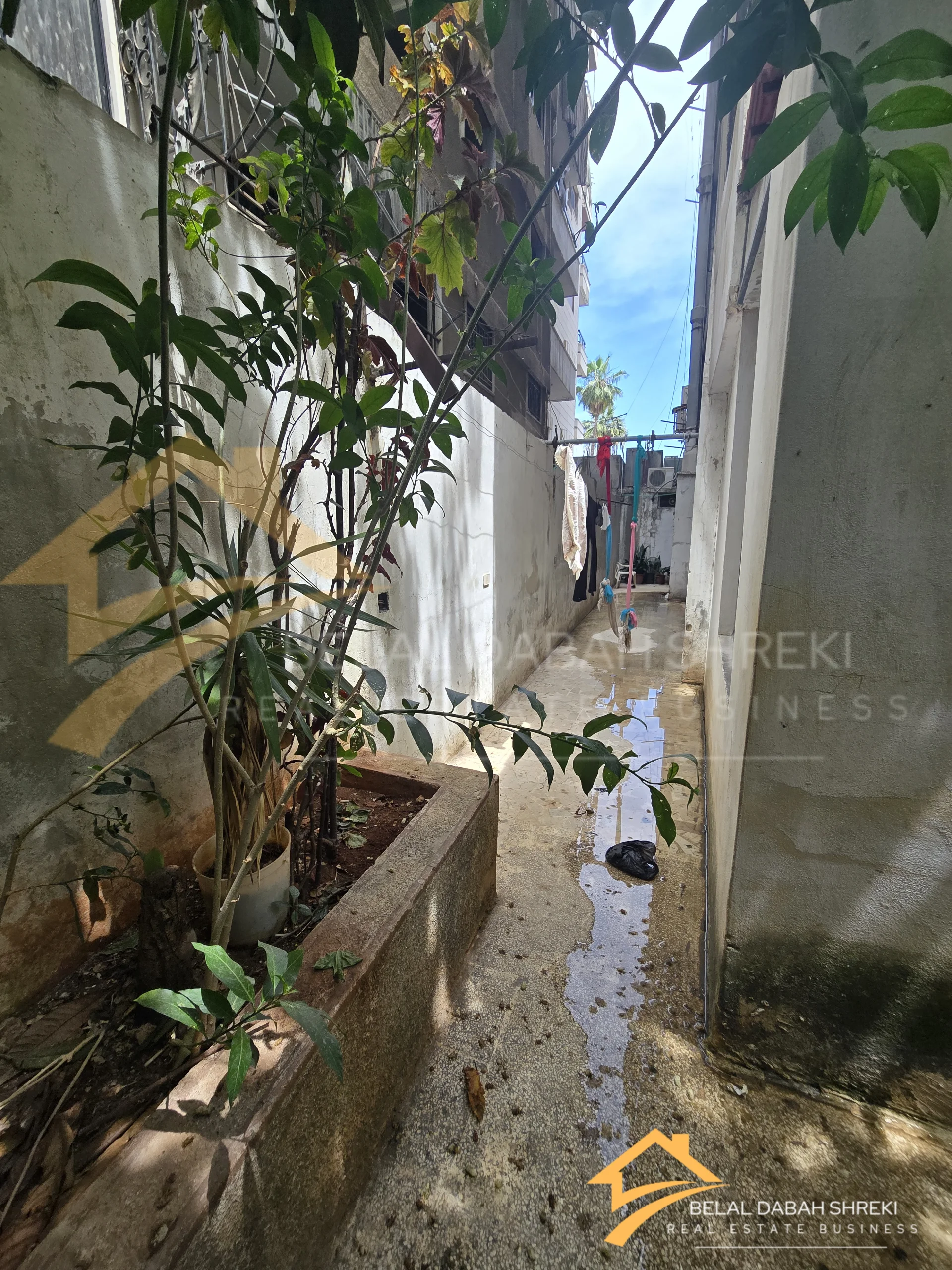 طريق الحرش مقابل قصر المحافظ