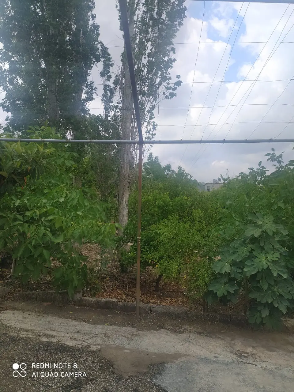 طريق الحفة