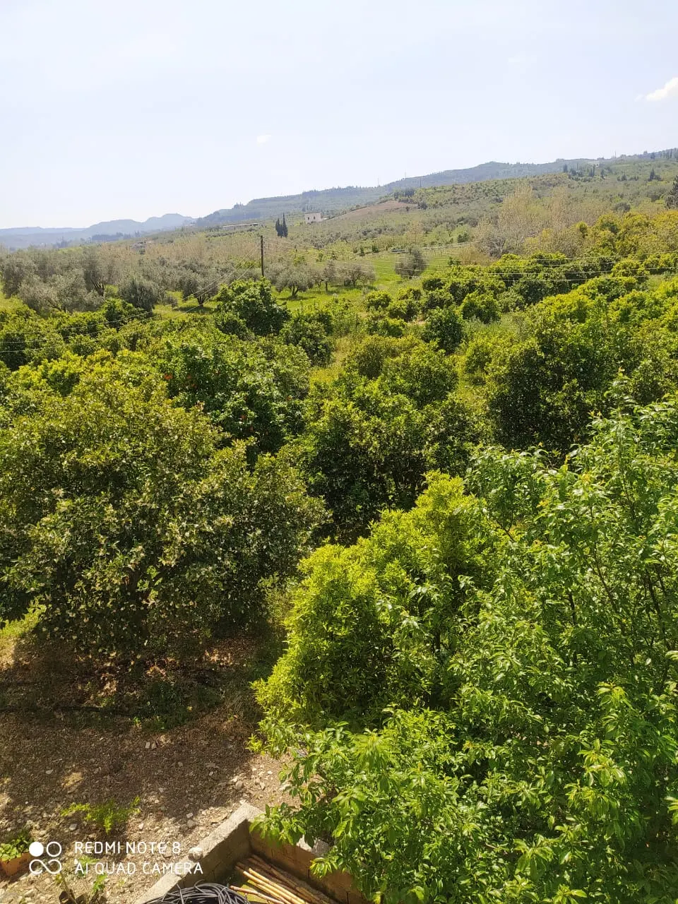 طريق الحفة 