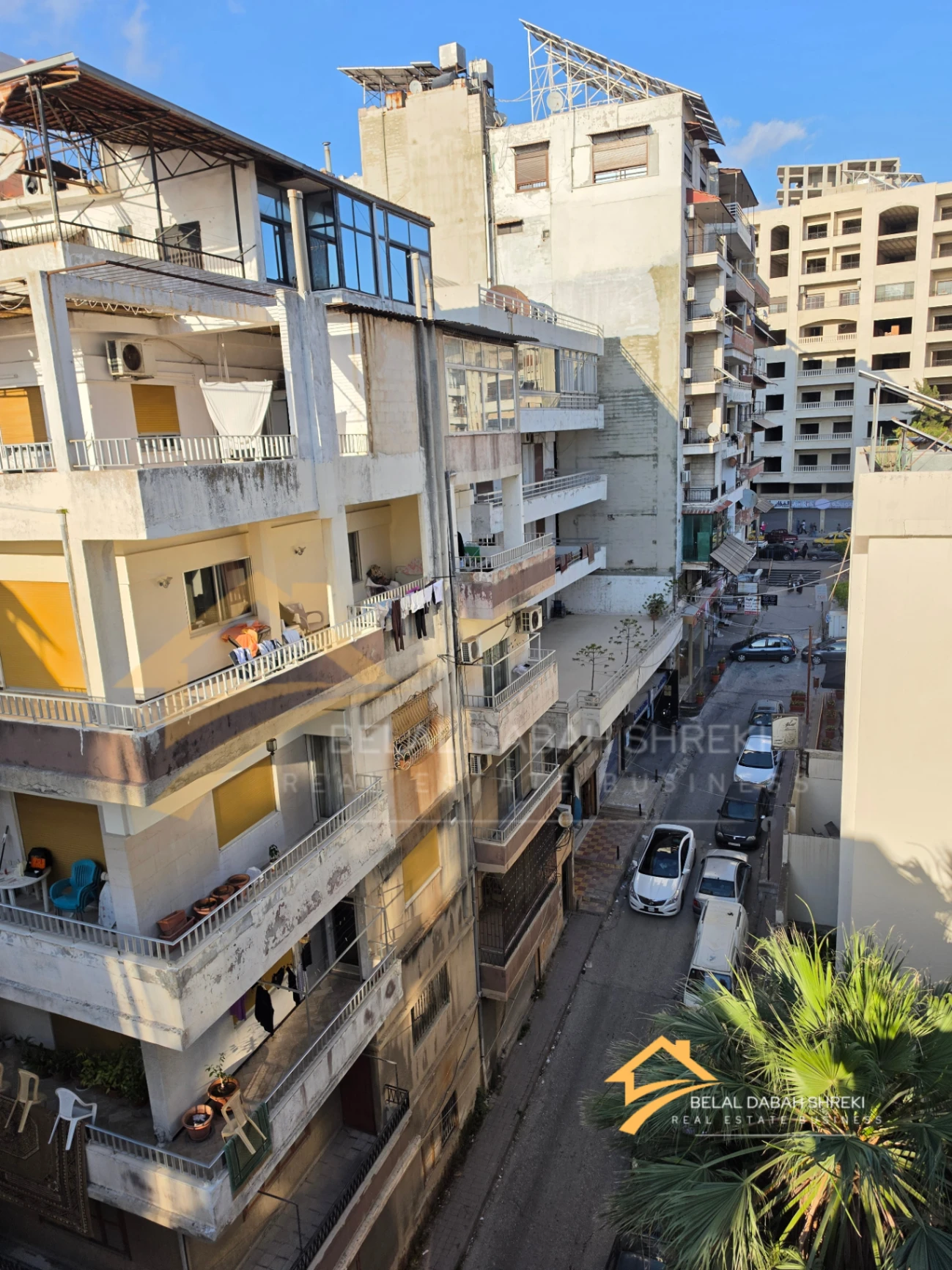 الاميركان جانب شركة القدموس