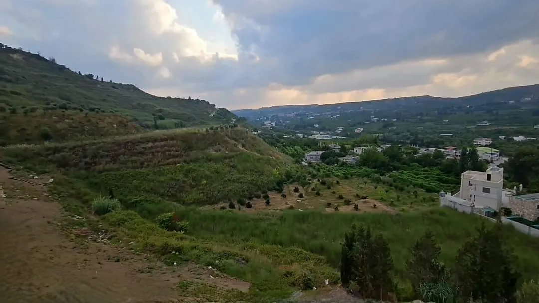 اللاذقية \\ طريق الحفة \\ بحالو