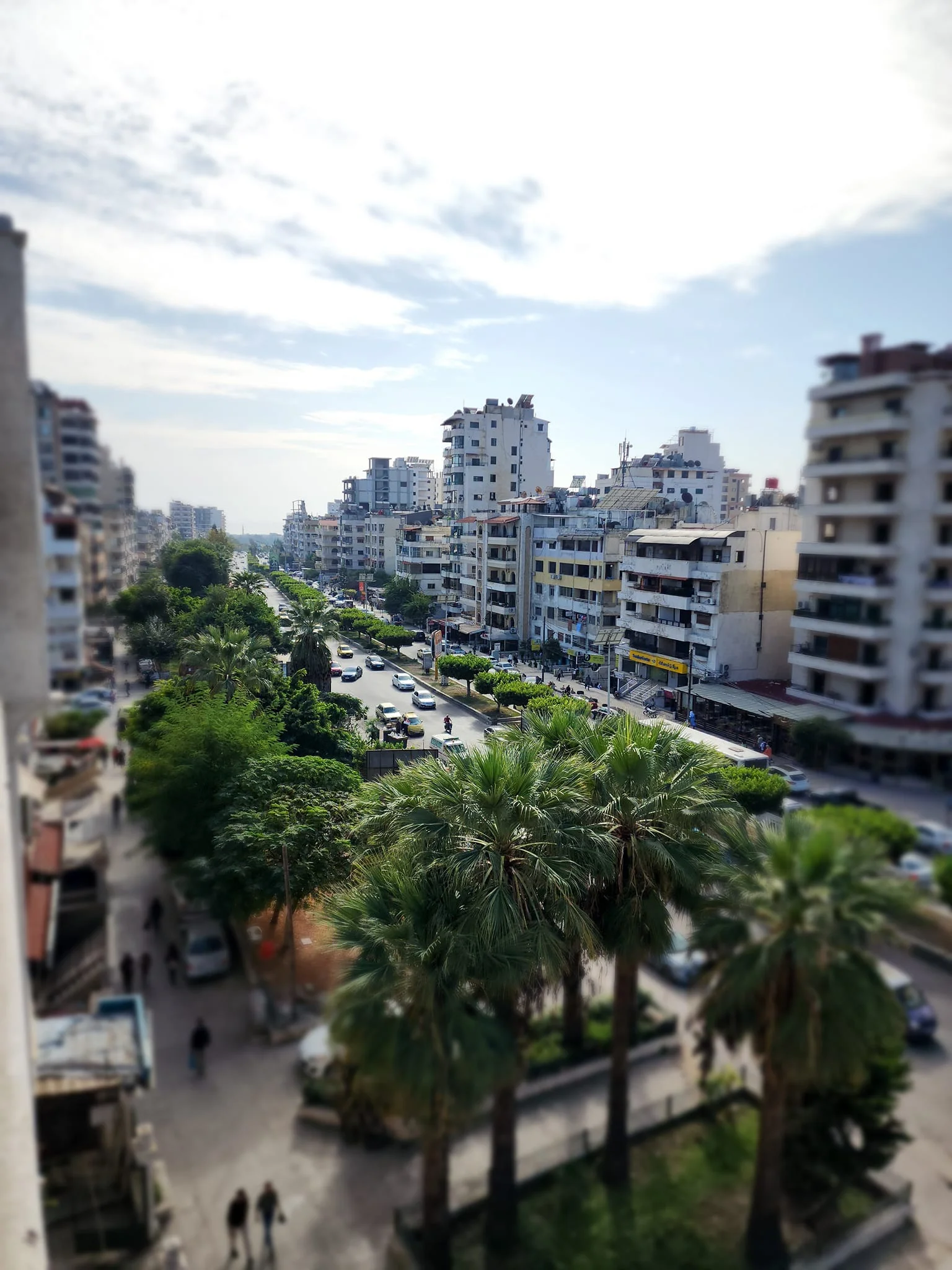 اللاذقية / دوار الزراعة
