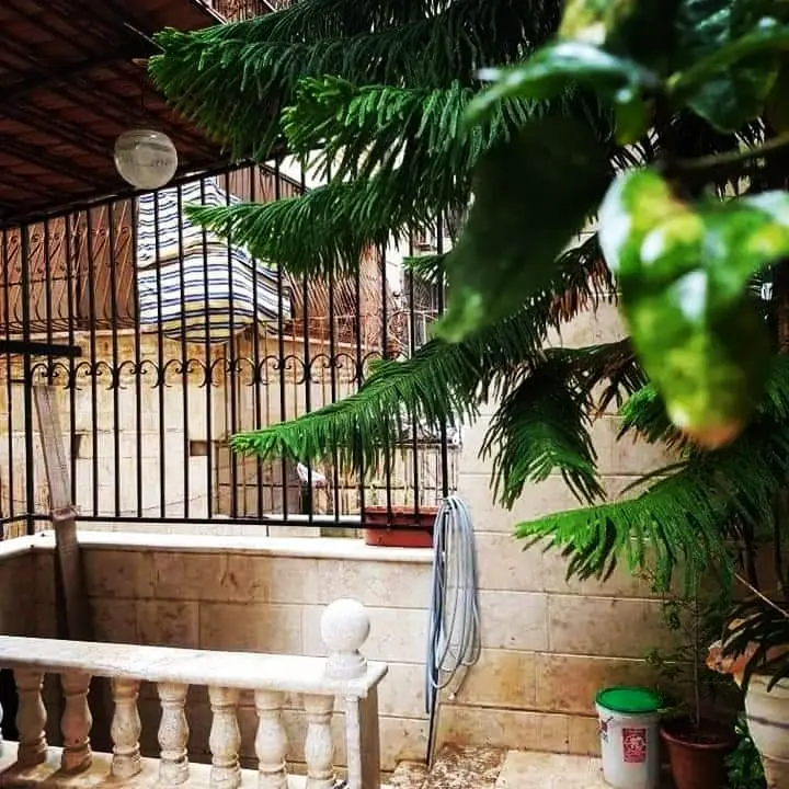 الطابيات \\ الدبجيات